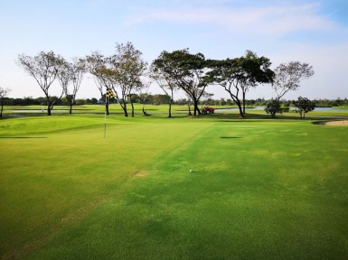 Sports Club golf et de Sports Club Bangpoo